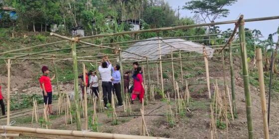 गाउँमै प्राविधिक शिक्षा ‘बाली बिज्ञान’ पढ्दै विद्यार्थी