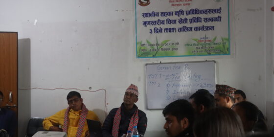 स्थानीय तहका कृषि प्राविधिकलाई गुणस्तरिय चिया खेती तालिम
