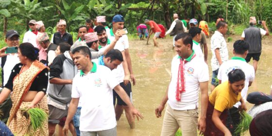 dhan dewasa 4