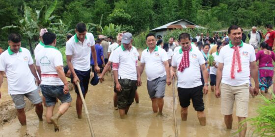 इलाम नगरपालिकाको दुलाल बेशीमा धान दिवस (फोटो फिचर)