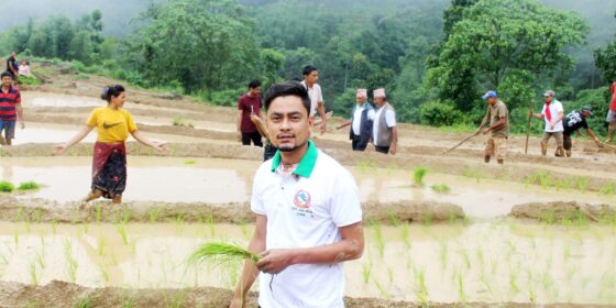 dhan dewsa
