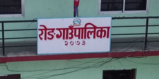 किटजन्य रोग नियन्त्रण गर्दै रोङ गाउँपालिका