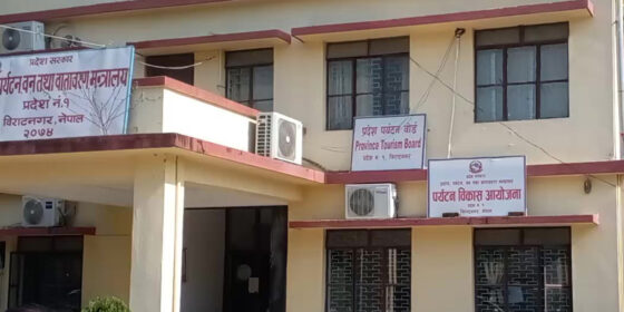 इलामका ४ सहित १९ जना श्रष्टा सम्मानसहित पुरस्कृत हुँदै