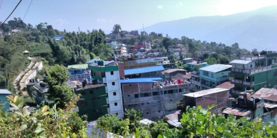 सहरी सौन्दर्य बढाउन फुलका बिरुवा रोपण गर्दै इलाम नगरपालिका