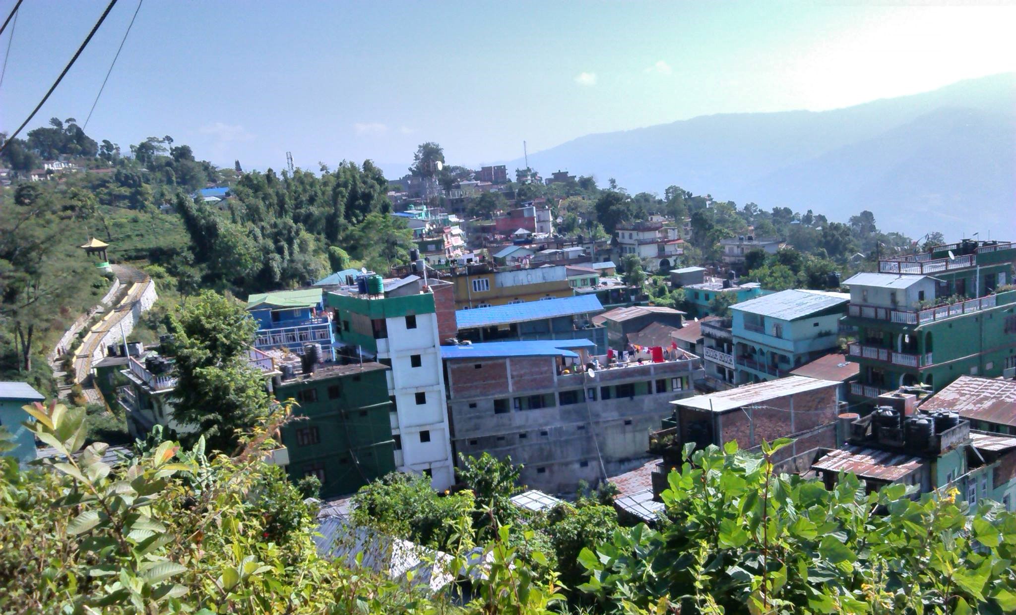 सहरी सौन्दर्य बढाउन फुलका बिरुवा रोपण गर्दै इलाम नगरपालिका