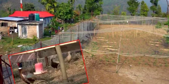 इलाममा १ करोडको लगानीमा कालिज फार्म