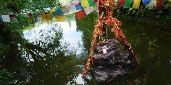 पूर्वी पहाडको रामसार सुन्दर माइपोखरी (फोटो फिचर )