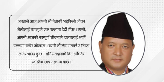 राजनैतिक दल सुधारः विकल्प सम्पत्ति पार्टीकरण