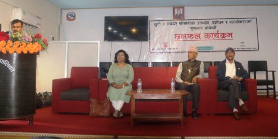 दुध र अकबरेमा उत्पादन देखि बजारसम्म समस्याबारे सरकारी चासो