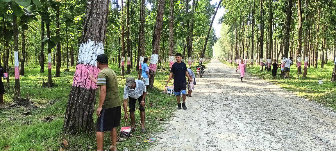 चुलाचुली गाउँपालिकाको सहिद मात्तोक मार्गमा सौन्दर्यीकरण