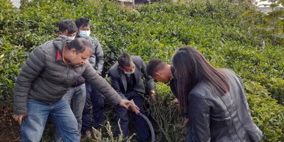 प्राविधिक तालिम पाएपछि गुणस्तर वृद्धिमा उत्साहित किसान