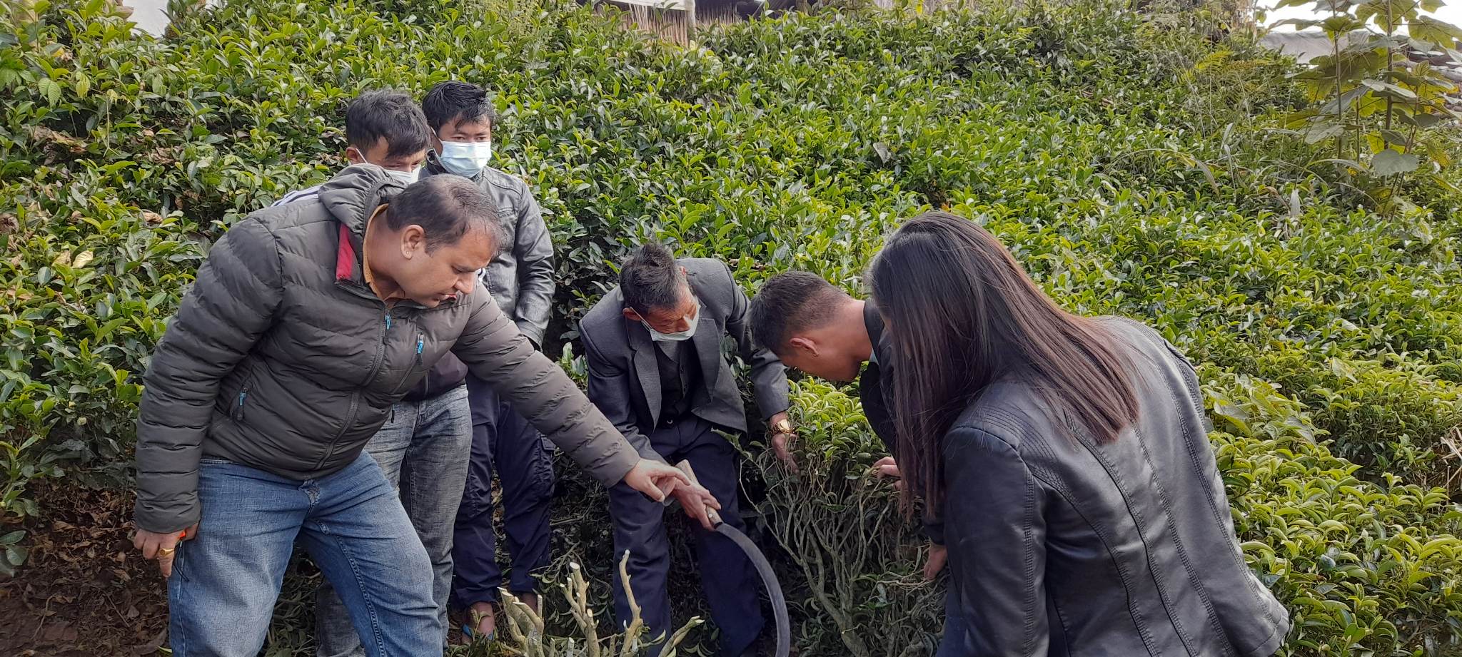 प्राविधिक तालिम पाएपछि गुणस्तर वृद्धिमा उत्साहित किसान