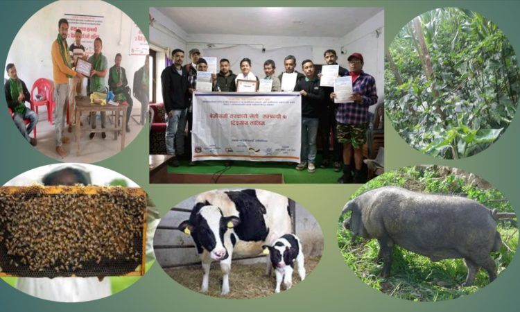 माईजोगमाईका युवा स्वरोजगार बन्दै