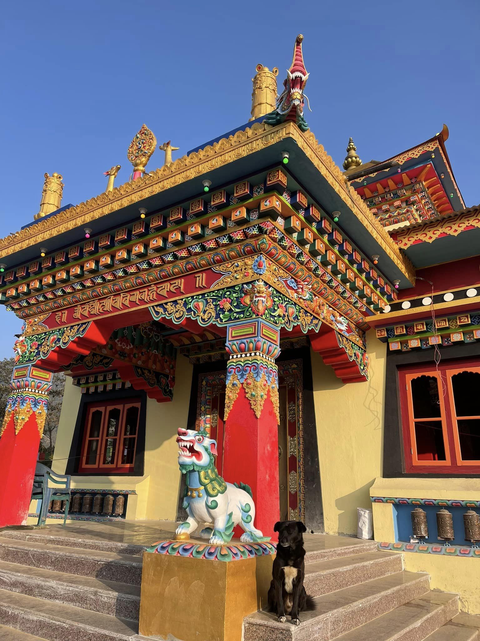 जमुनामा गुम्वा निर्माणको उत्साह