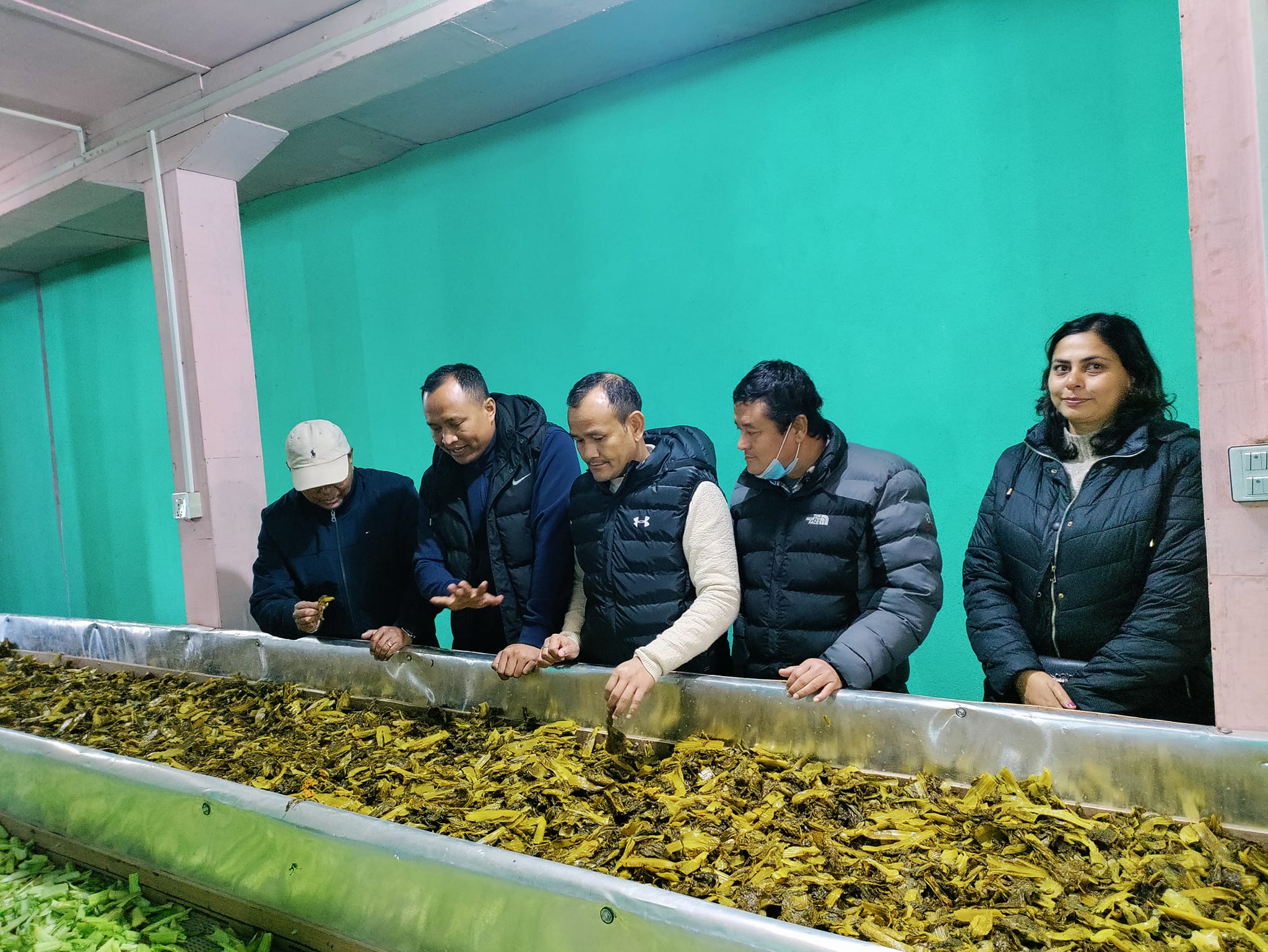 इलामको रोङ गाउँपालिका गुन्द्रुक ब्रान्डिङ (फोटो फिचर)