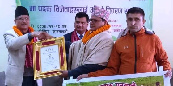 अन्तर्राष्ट्रिय बजारमा नेपाली चियाको गुणस्तर मापदण्डमा इलामका चिया उद्योगको स्वर्णपदक