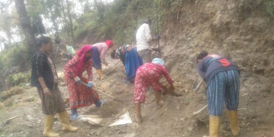 ईलाममा प्रधानमन्त्री रोजगार कार्यक्रम धमाधम चल्दै