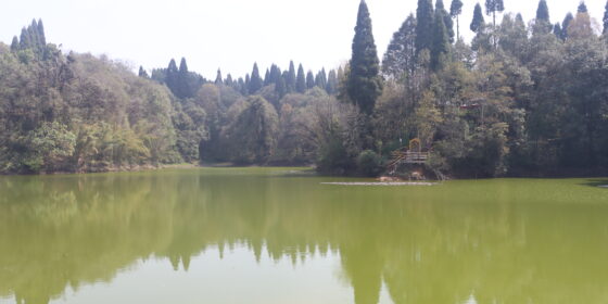 पर्यटकीय एवं जैविक महत्व बोकेको क्षेत्र माइपोखरी