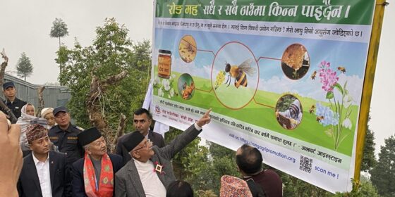 सधैँ र सबै ठाउँमा किन्न पाइँदैन ‘रोङ मह’