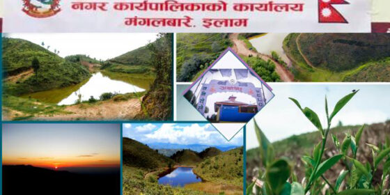 देउमाई नगरपालिकाको आर्थिक वर्ष २०८०/०८१ को नीति तथा कार्यक्रम पारित ( विवरण सहित)
