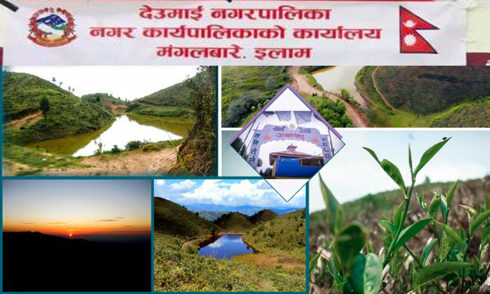 देउमाई नगरपालिकाको आर्थिक वर्ष २०८०/०८१ को नीति तथा कार्यक्रम पारित ( विवरण सहित)