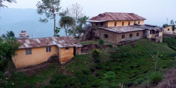 अमेरिका र नेपालसँग चीनको चिया कूटनीति