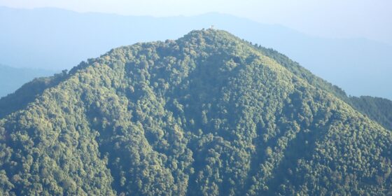 इलामको उच्च पहाडमा संरक्षणका कार्यक्रमले वन क्षेत्र बढ्दै (तस्बिरहरु)