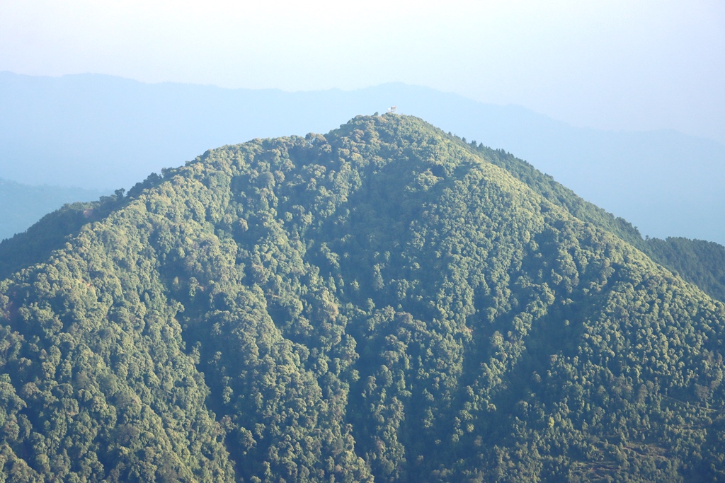 इलामको उच्च पहाडमा संरक्षणका कार्यक्रमले वन क्षेत्र बढ्दै (तस्बिरहरु)