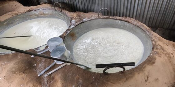 इलाम नगरपालिकामा कुराउनी उद्योग बढ्दै (तस्बिरहरु)