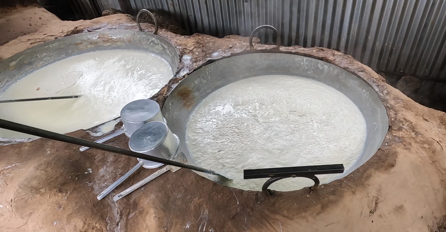 इलाम नगरपालिकामा कुराउनी उद्योग बढ्दै (तस्बिरहरु)
