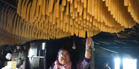 डेरी उद्योगमा जमेकी सुर्योदय २ की दावादिकी सेर्पा (फोटो फिचर)