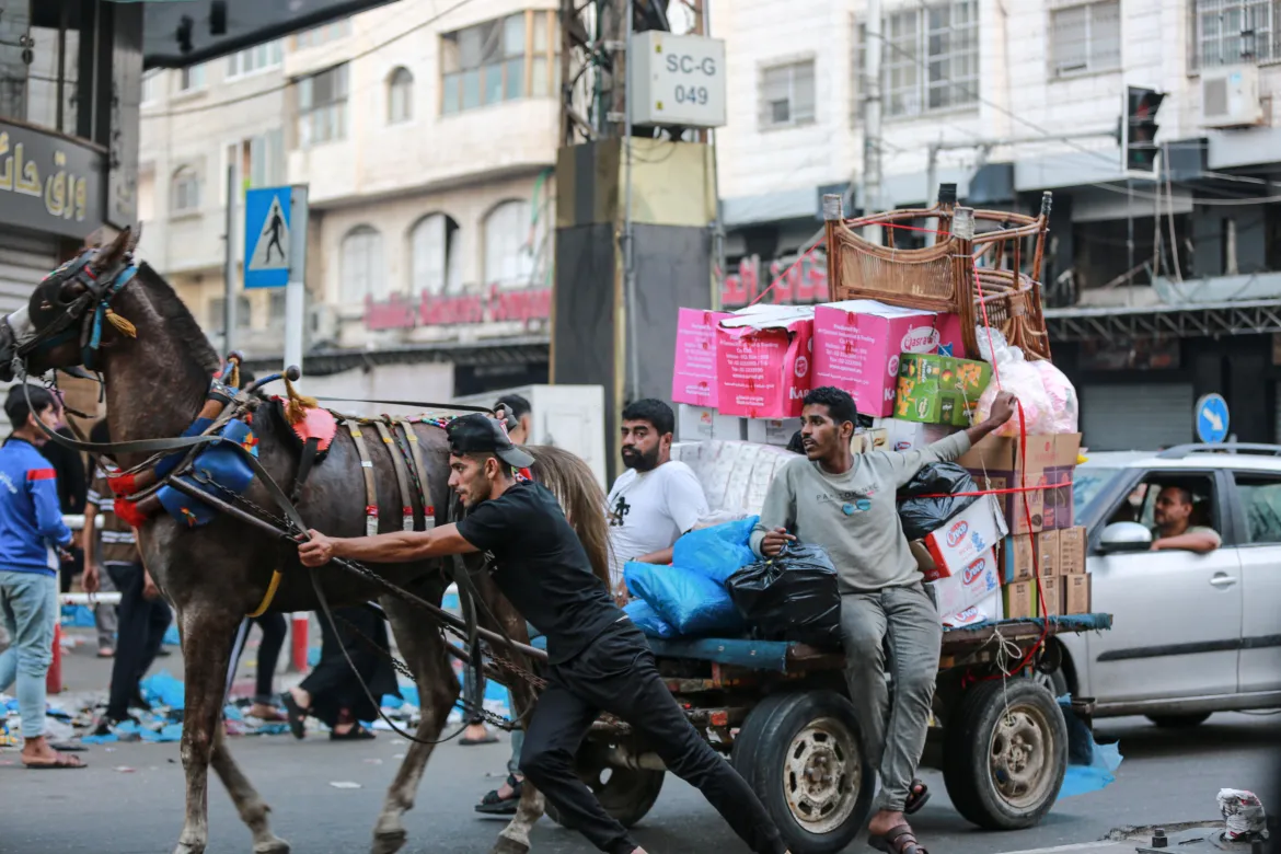 इजरायलको क्रुर आक्रमणका बाबजुद कस्तो चल्दैछ गाजामा दैनिकी ? तस्वीरहरू