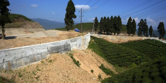 सुर्योदय नगरपालिका र सडक डिभिजन कन्याम चिया बगान भत्काउँदै छोड्दै  (तस्बिरहरु) 