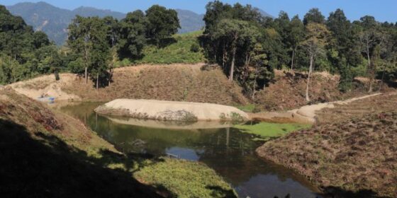 पर्यटन प्रवर्द्धन गर्न माई नगरपालिकामा तेह्रकुने सिमसार महोत्सव हुँदै