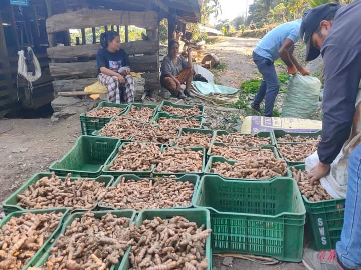 गुन्द्रुक र सिस्नोपछि बेसारको ‘ब्रान्डिङ’ गर्दै रोङ गाउँपालिका