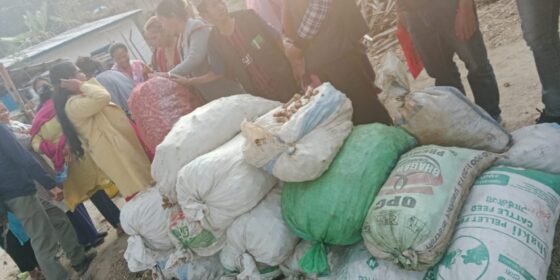बेसार प्रवर्द्धन गर्दै माङसेबुङ : उत्पादन र बजारीकरणका लागि १३ बुँदे सम्झौता