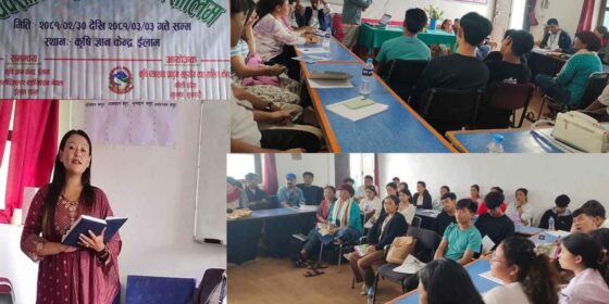 इलाममा ६ दिने व्यवसायिक फूल खेती प्रविधि तालिम सुरु