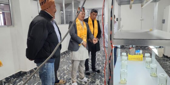 अलैची सुधारको कार्य अघि बढाउँदै मन्कसहुड कृषि फर्म