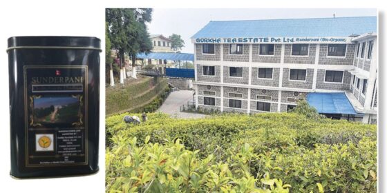 ‘सुन्दरपानी’ चियाको जर्मनी यात्रा