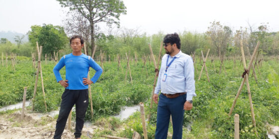 कृषिमा समृद्धि खाेज्दै चुलाचुलीका कृषक