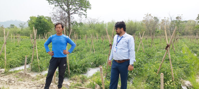 कृषिमा समृद्धि खाेज्दै चुलाचुलीका कृषक