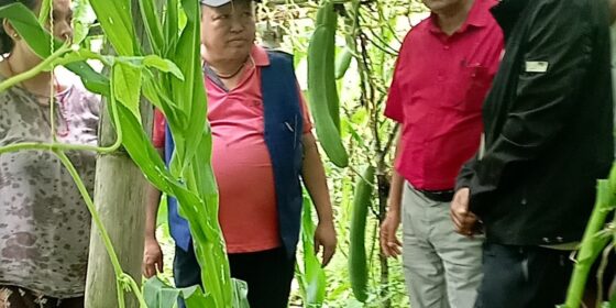 इलामको अर्गानिक तरकारी खेती अवलोकन भ्रमण