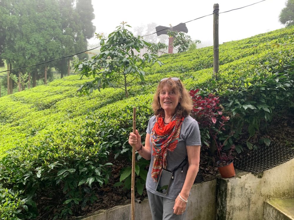 पोखरासँग विकर्षित भएर इलाम पुगेकी बेलायती पर्यटक भन्छिन् :  ‘यो मौलिकता जोगाउनुस्’