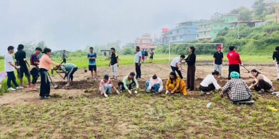फुटबल मैदान स्याहार्दै इलामेली