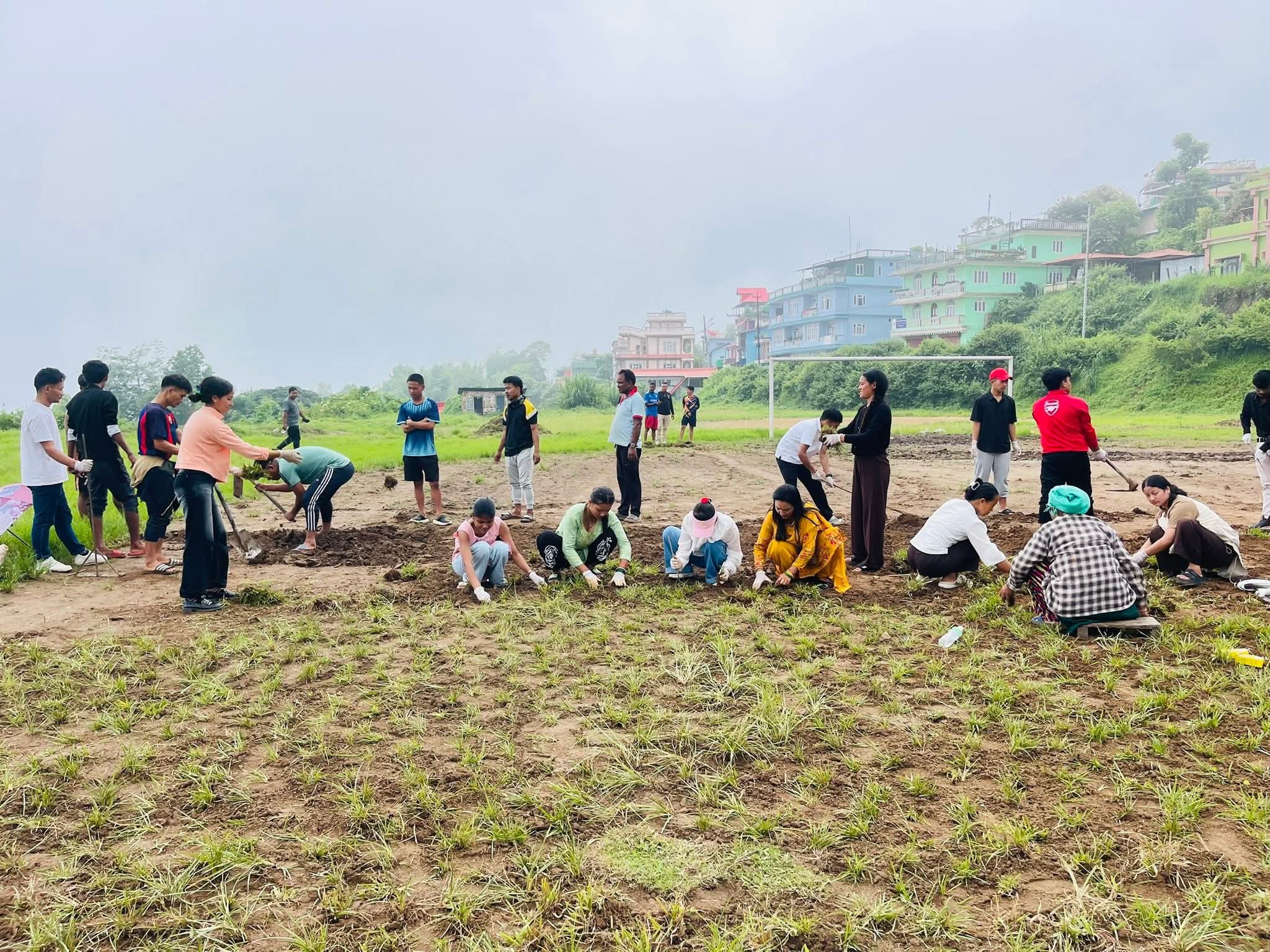 फुटबल मैदान स्याहार्दै इलामेली