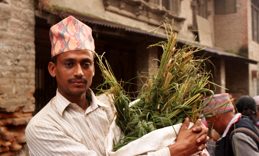 कुसेऔँसीको महत्त्व र ‘डिजिटल पितृभक्ति’