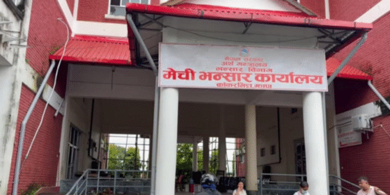 मेची भन्सार : छ महिनामा सात अर्ब १९ करोडको अलैँची निर्यात