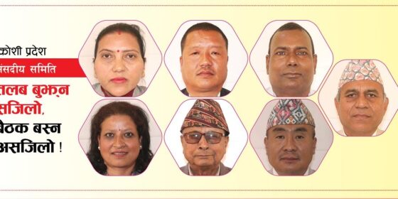 कहाँ हराए कोशीका मिनी संसद् ? तलब बुझ्न सजिलो, बैठक बस्न गाह्रो