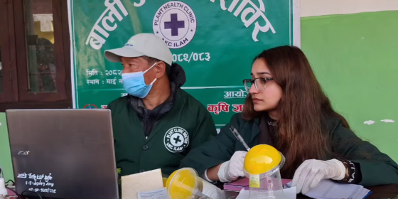 माईमा बाली उपचार र माटो परिक्षण शिविर सम्पन्न