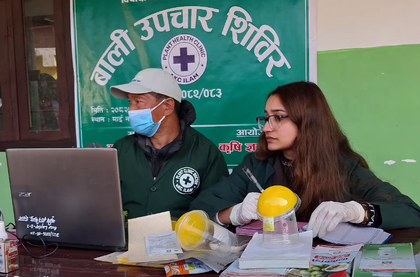 माईमा बाली उपचार र माटो परिक्षण शिविर सम्पन्न